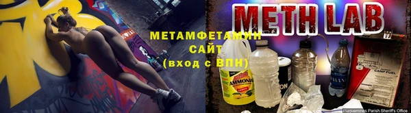PSILOCYBIN Белокуриха