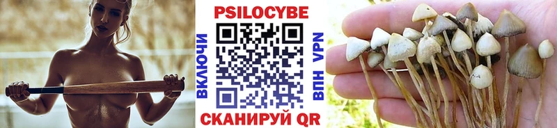 маркетплейс наркотические препараты  что такое   Реж  Псилоцибиновые грибы мухоморы 