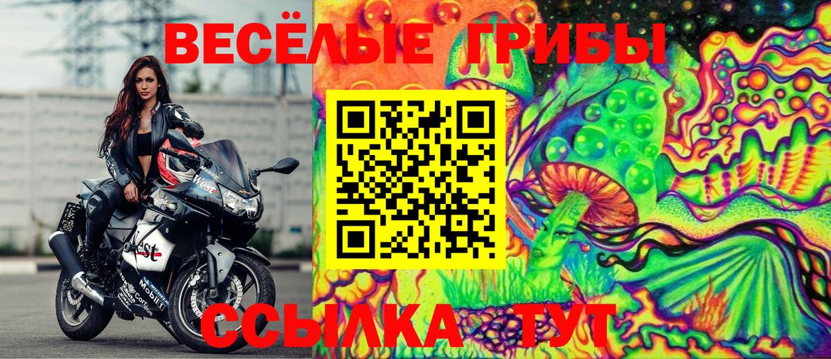 Псилоцибиновые грибы мицелий Реж