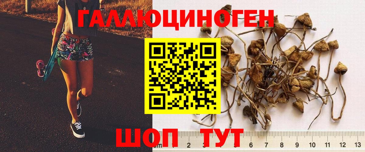 цена   Псилоцибиновые грибы Cubensis  Вход с VPN  Реж 